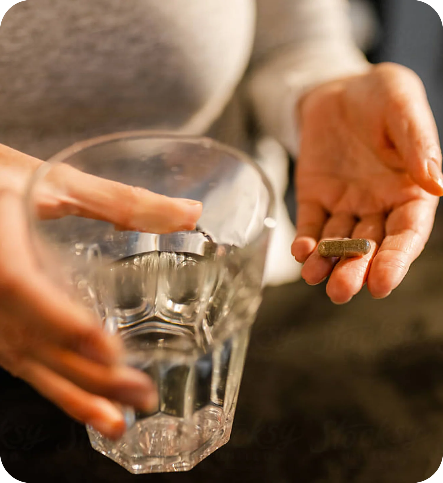 Berkeley Life Supplement